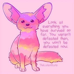 Meet your Posher, Sylvia